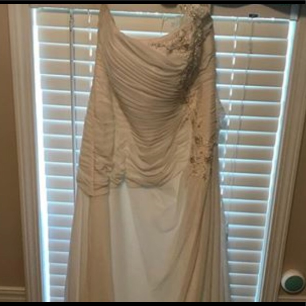 Ivory One Shoulder David’s Bridal Wedding Dress